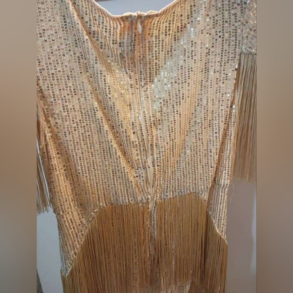 Gold Fringe Sequin Evening Dress - Pluswear - Picture 4 of 9